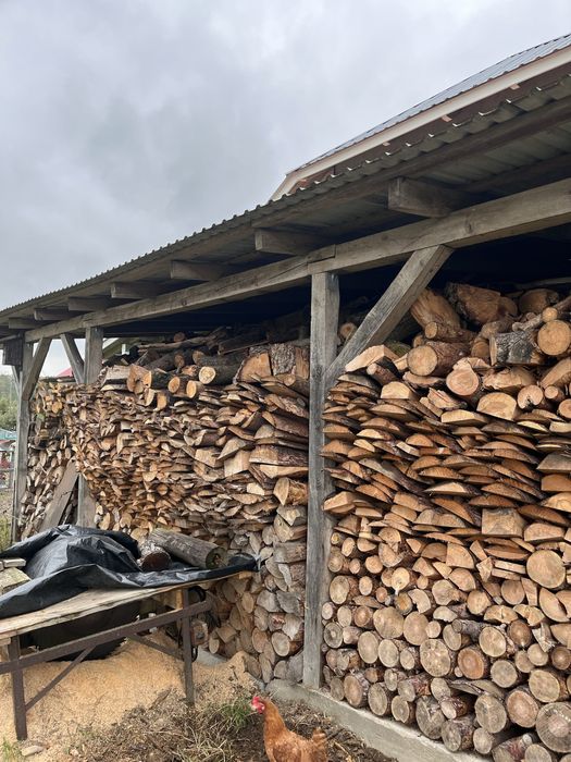 Sprzedam drzewo na opal i deski