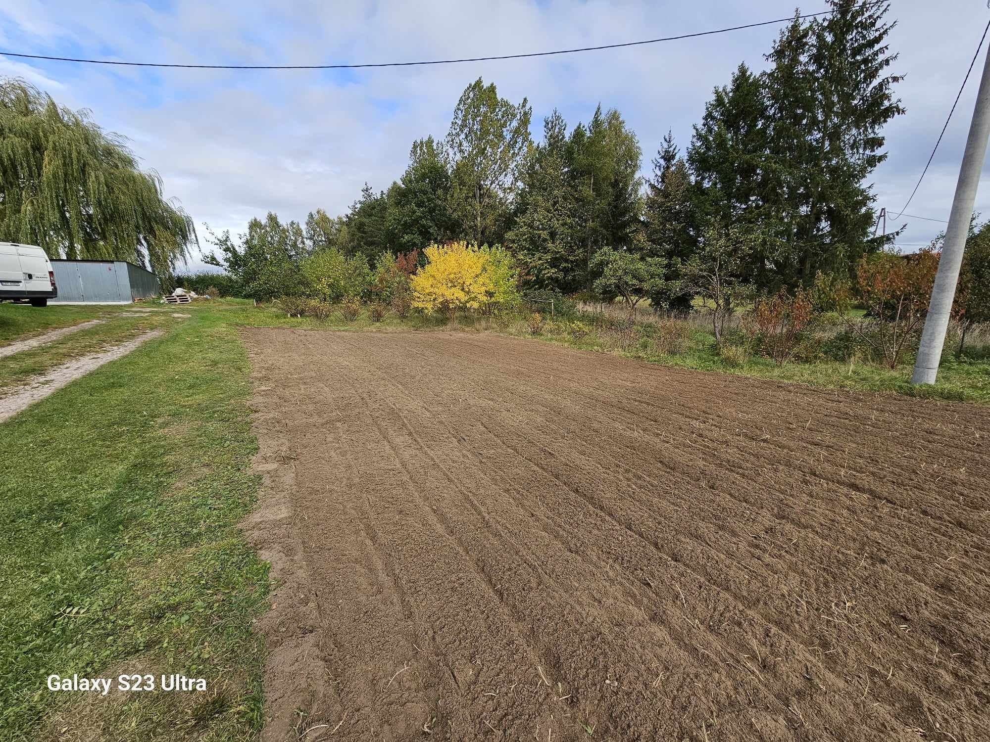 wertykulacja, aeracja rurkowa, piaskowanie, zakładanie trawników