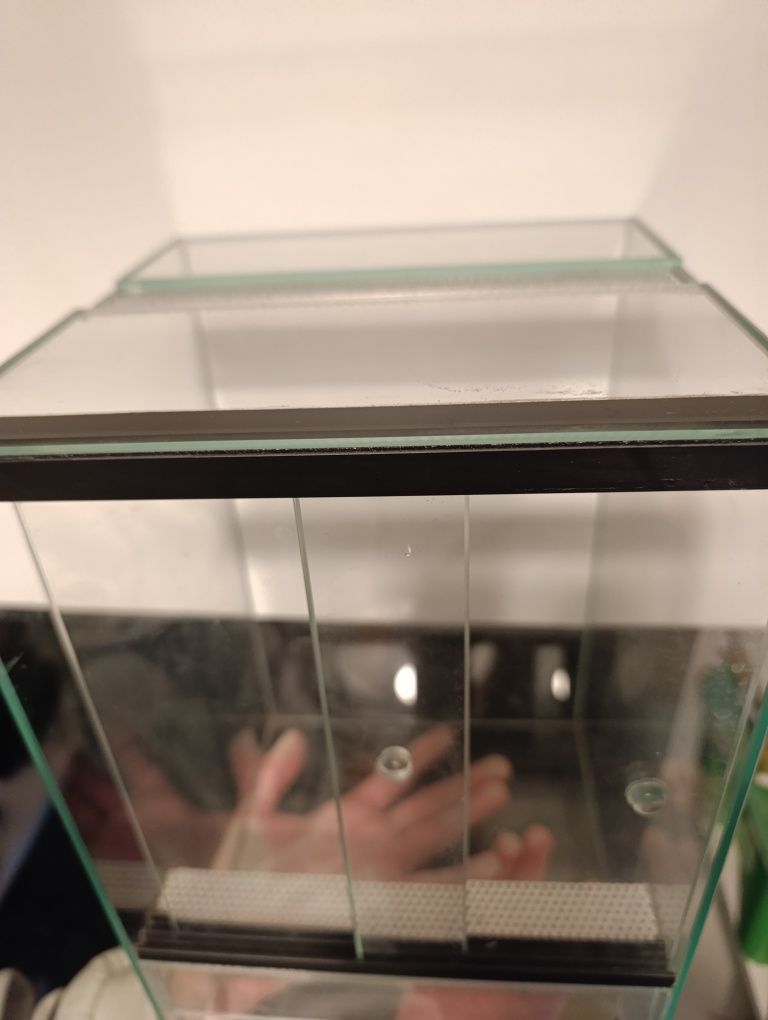 Terrarium małe 20x20x30