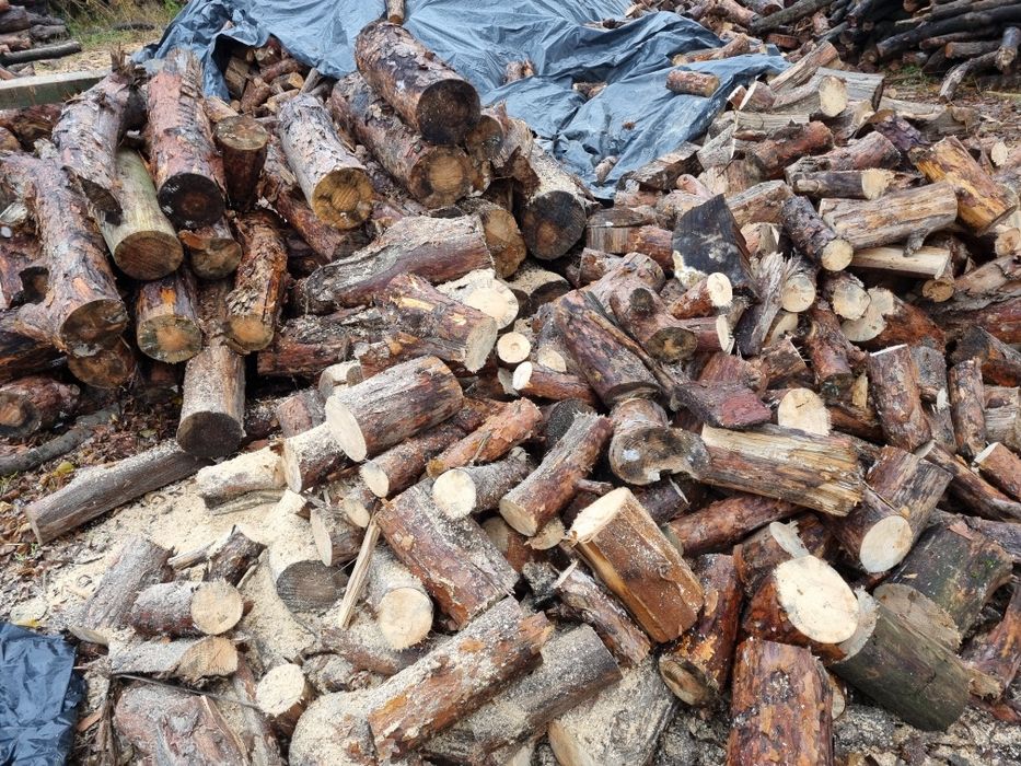 Drewno opałowe sosna