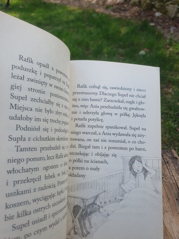 Zbiór książek dla dzieci - zaopiekuj się mną, Kaktus szukaj i Awantura