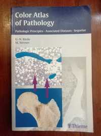 U.-N. Riede e M. Werner - Color Atlas of Pathology