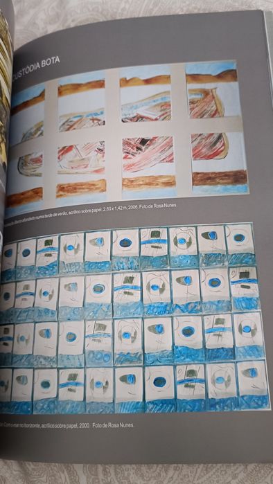 Livro Embarcações Tradicionais do Sado