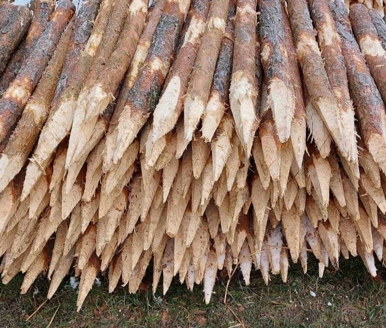 Kołki melioracyjne Faszyny