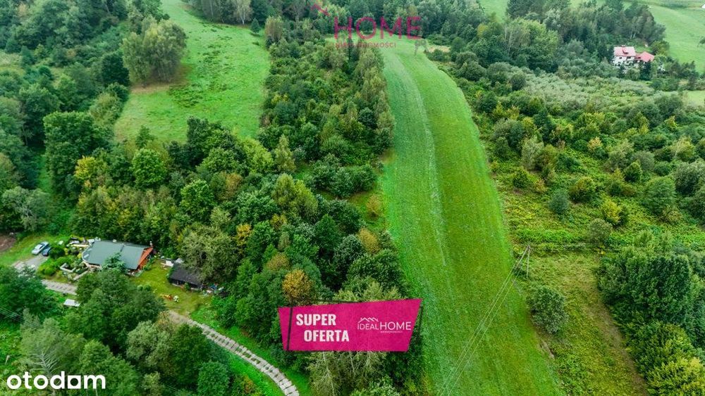 Nowy Borek 1,3675 ha- w trakcie Wz zagrodowa