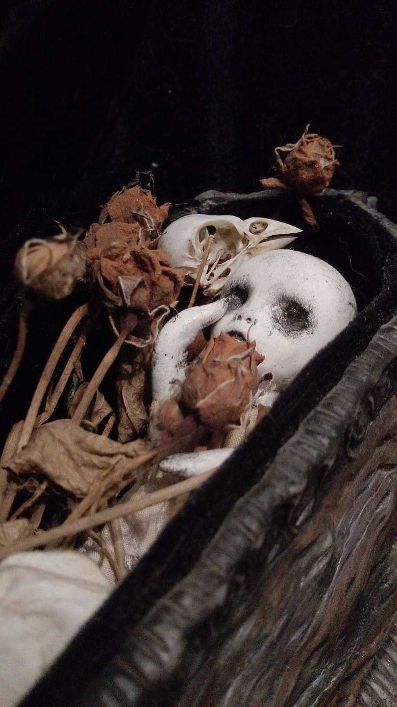 Кукла в готическом стиле, гробик, череп.