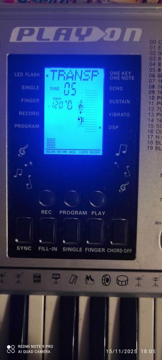 Órgão musical criança