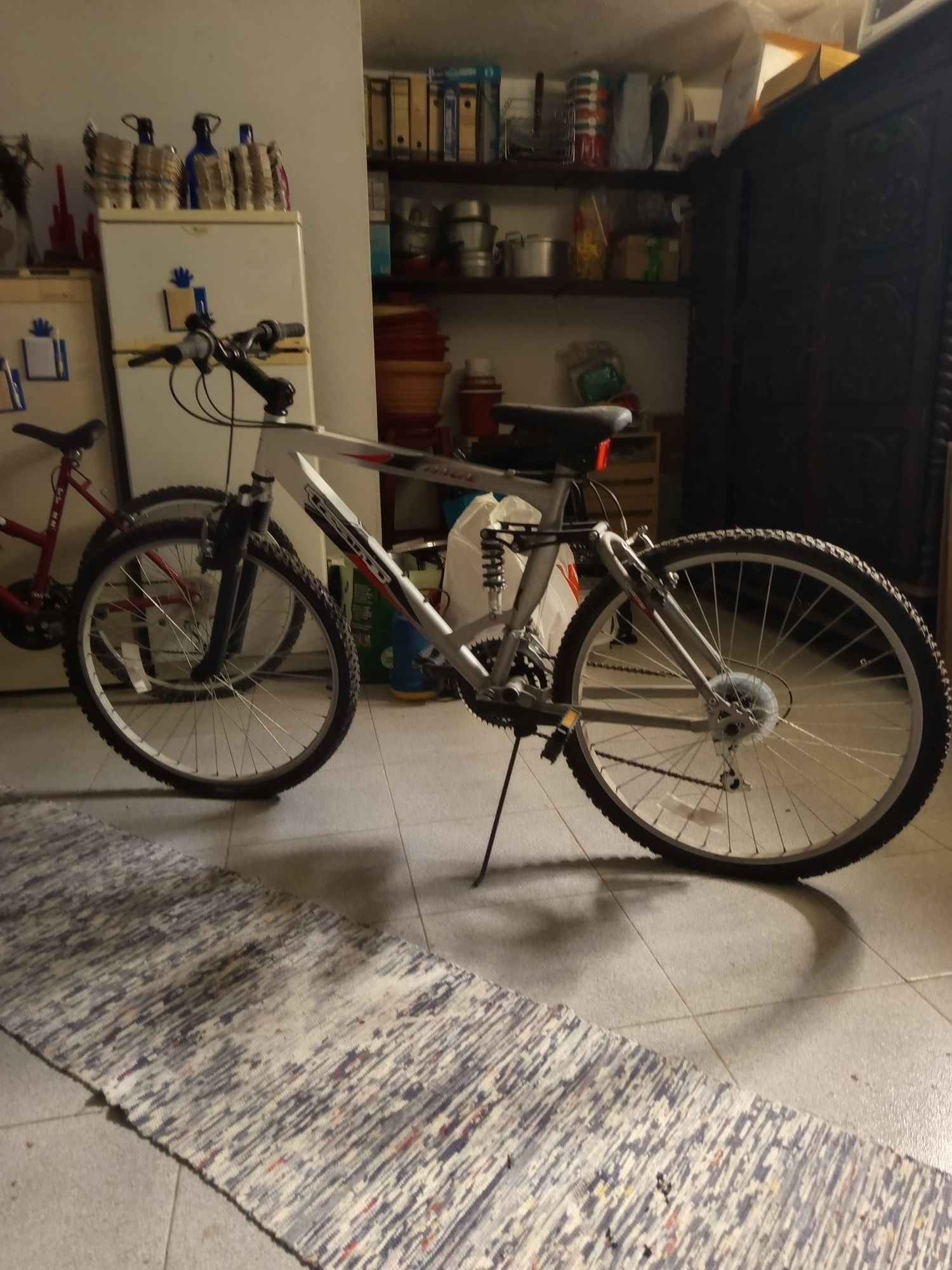 Bicicleta de adulto