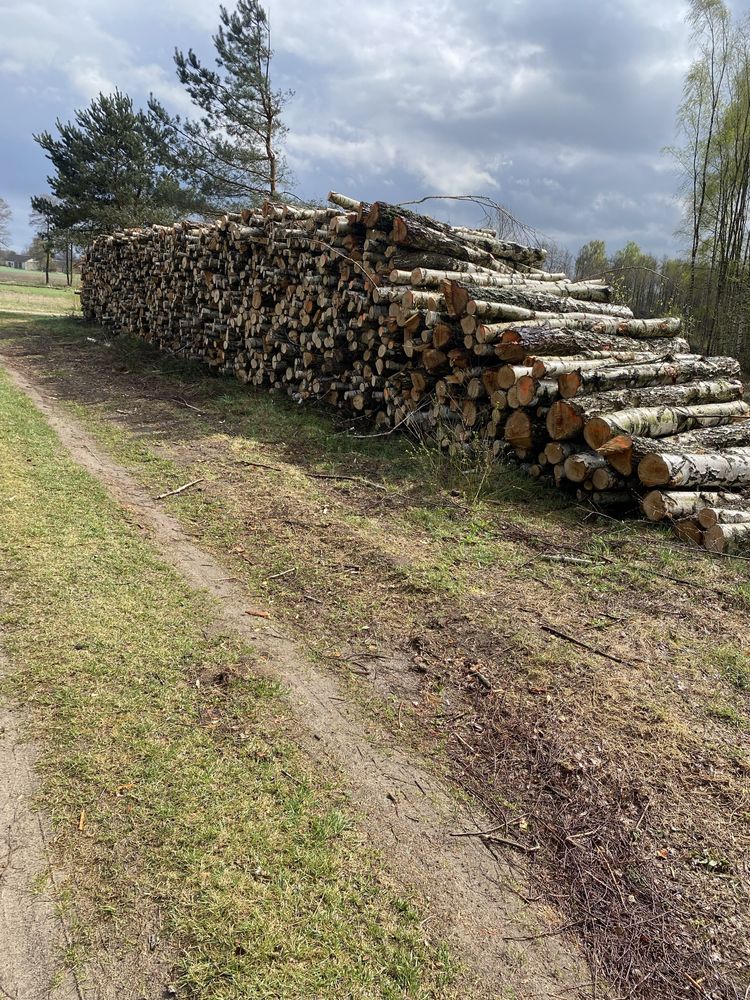 Drewno Opałowe Brzoza Sosna