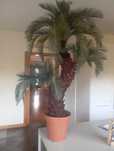Planta artificial palmeira linda