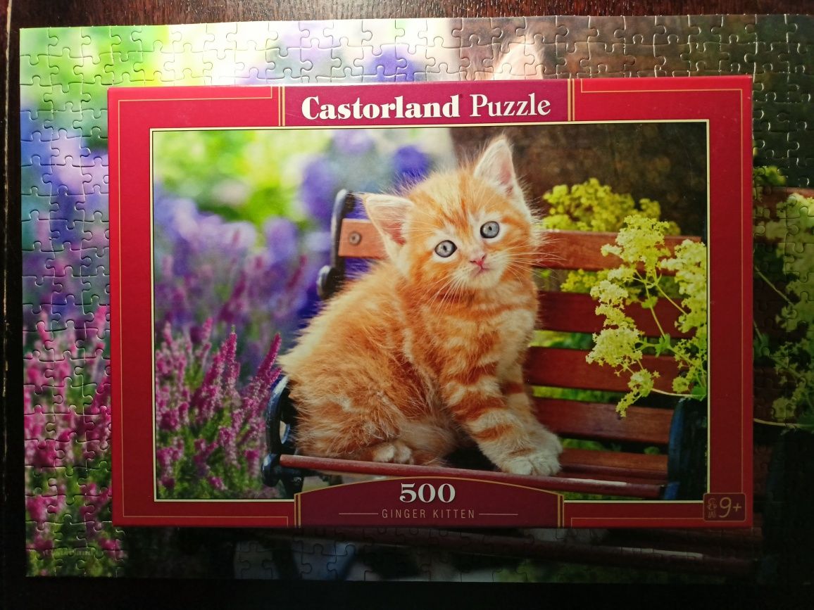 Puzzle Castorland 500 elementów Ginger Kitten (Rudy kotek)