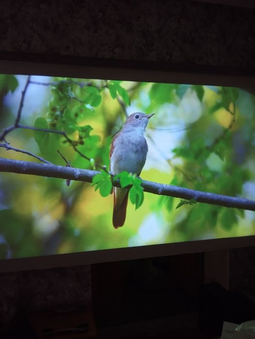 Проектор Q11 game