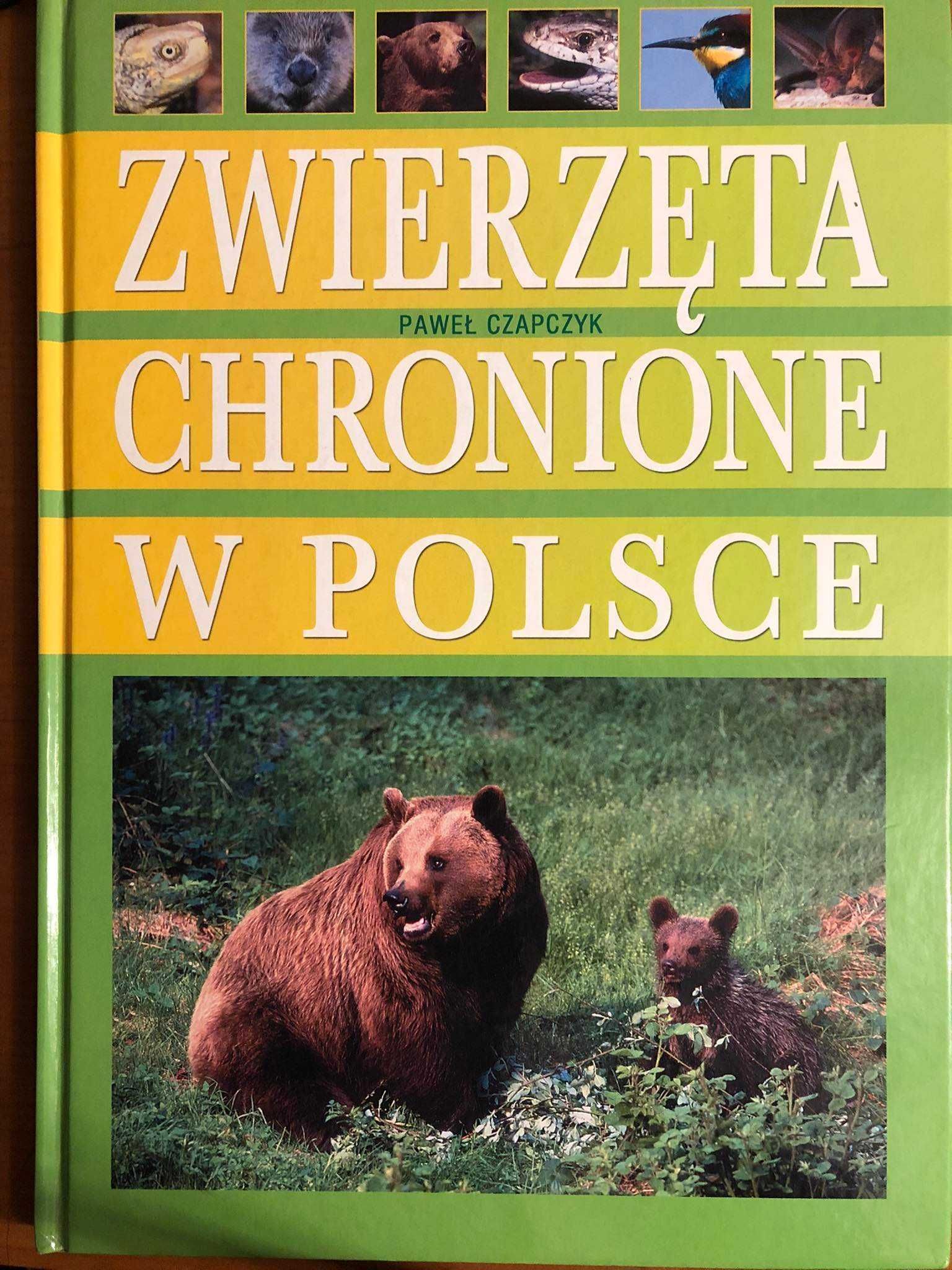 Zwierzęta chronione w Polsce - Paweł Czapczyk