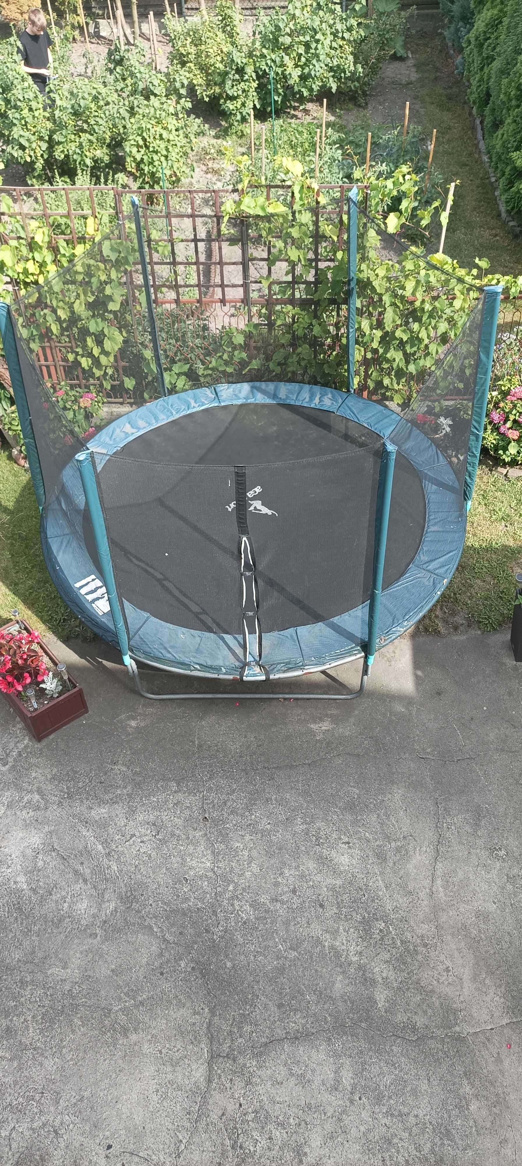 trampolina używana