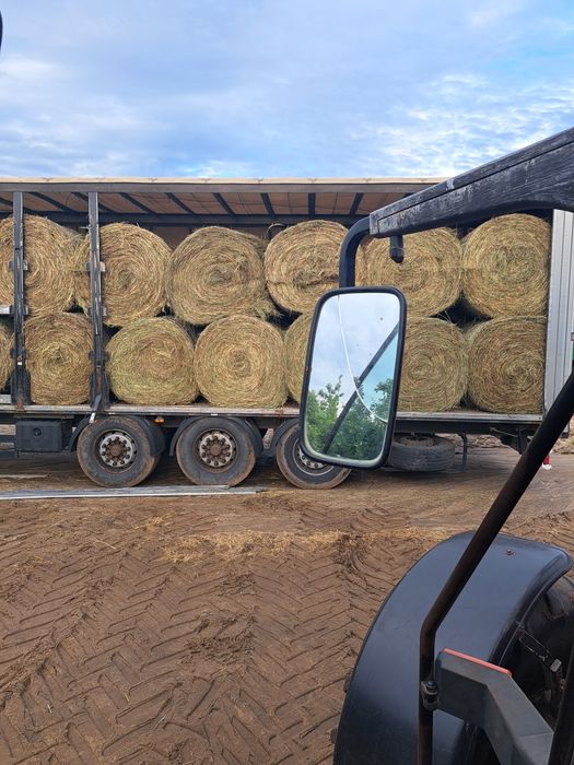 Siano w balotach tegoroczne dobra jakość Transport