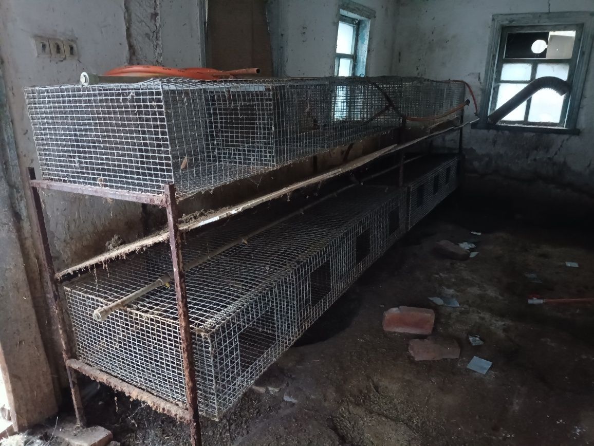 клітки для кролів чи птиці