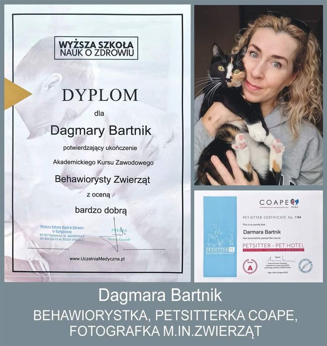 Behawiorysta/Petsitter/Opieka nad kotem w jego domu