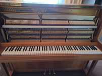 Pianino Calisia 120cm.