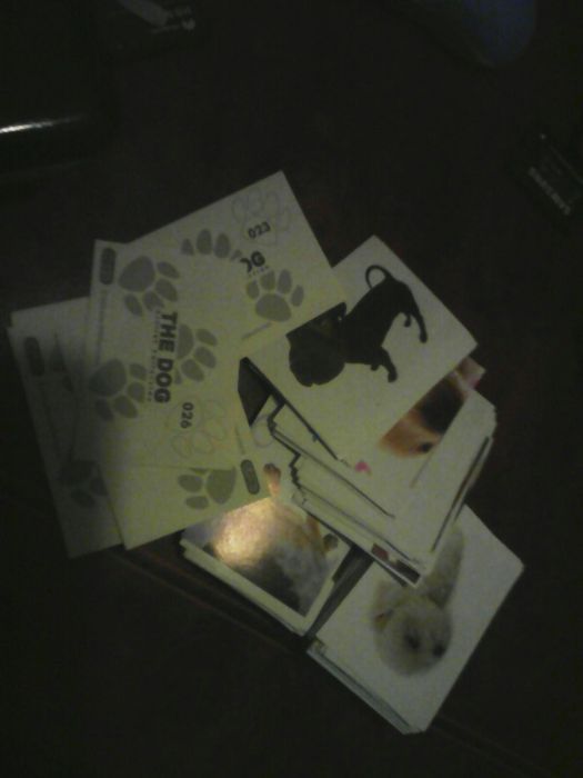 Cromos THE DOG 2005