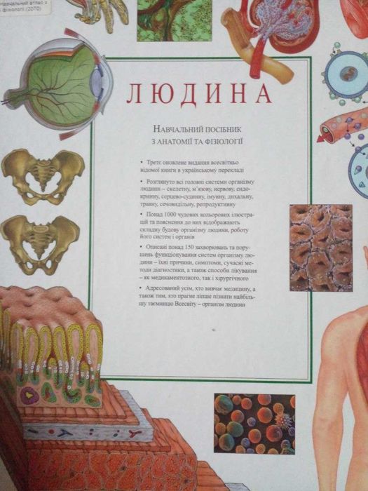 Людина навчальний посібник з анатомії та фізіології Dorling Kindersley