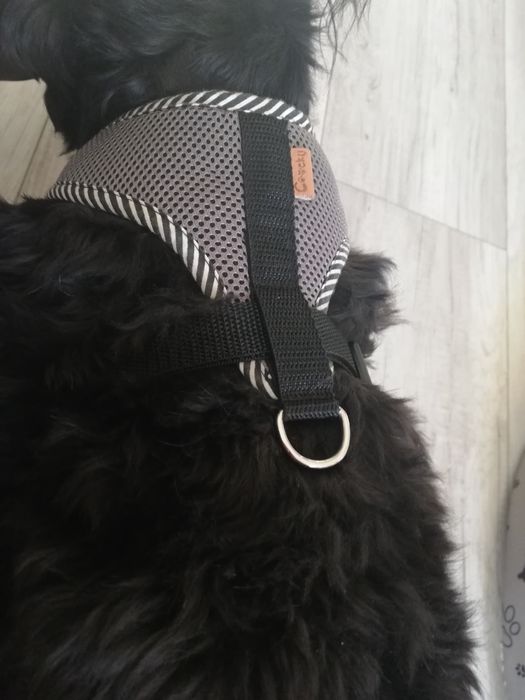 Szelki dla psa z marerialu oddychajacego