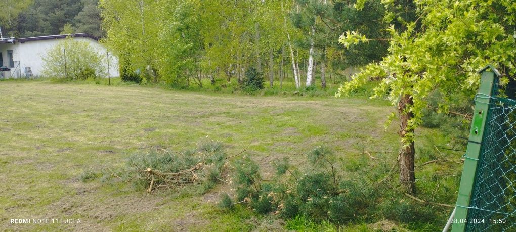 Wynajmę działkę rekreacyjną nad jeziorem w Chojnie .