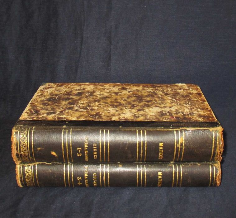 Livro Ciumes D´Uma Rainha Tarrago Y Mateos 1873 Completo