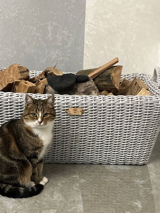 Кошик для дров / дровниця з ротангу Бровари