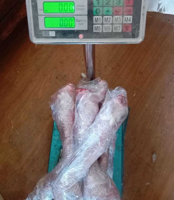 Продам кролі породи ПАНОН як ТУШКИ так і ЖИВОЮ ВАГОЮ на плем'я.