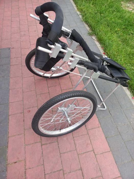 chodzik dla owczarka