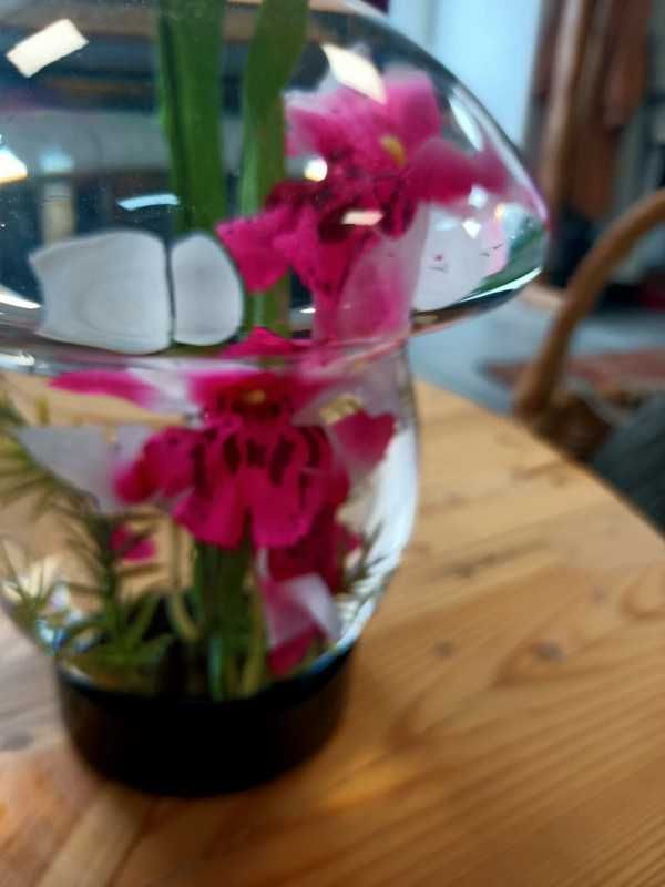 Kwiaty kompozycja w szkle grzyb akwarium