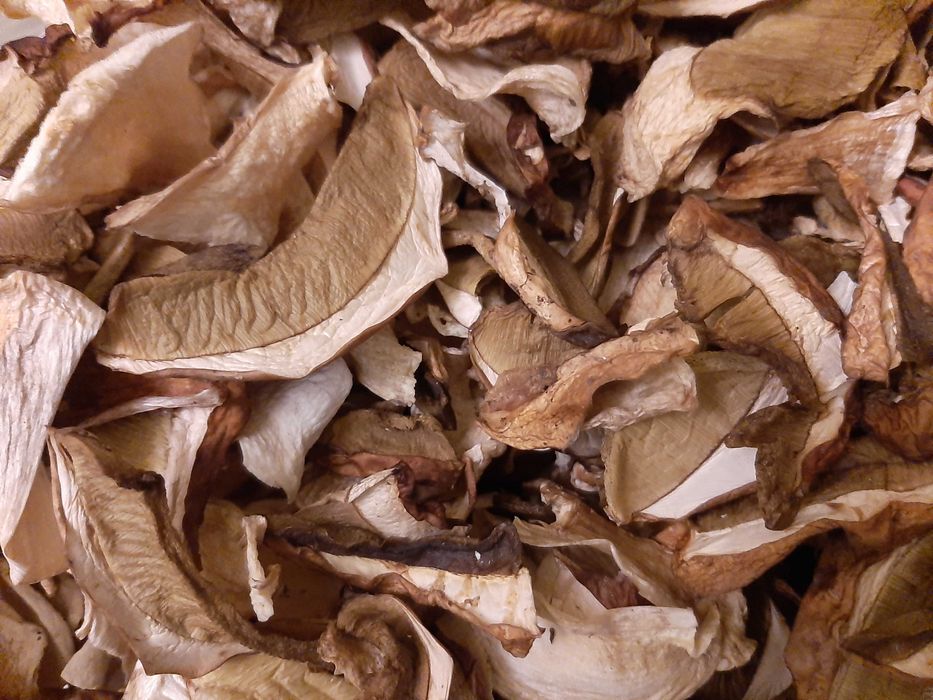 Grzyby suszone prawdziwki