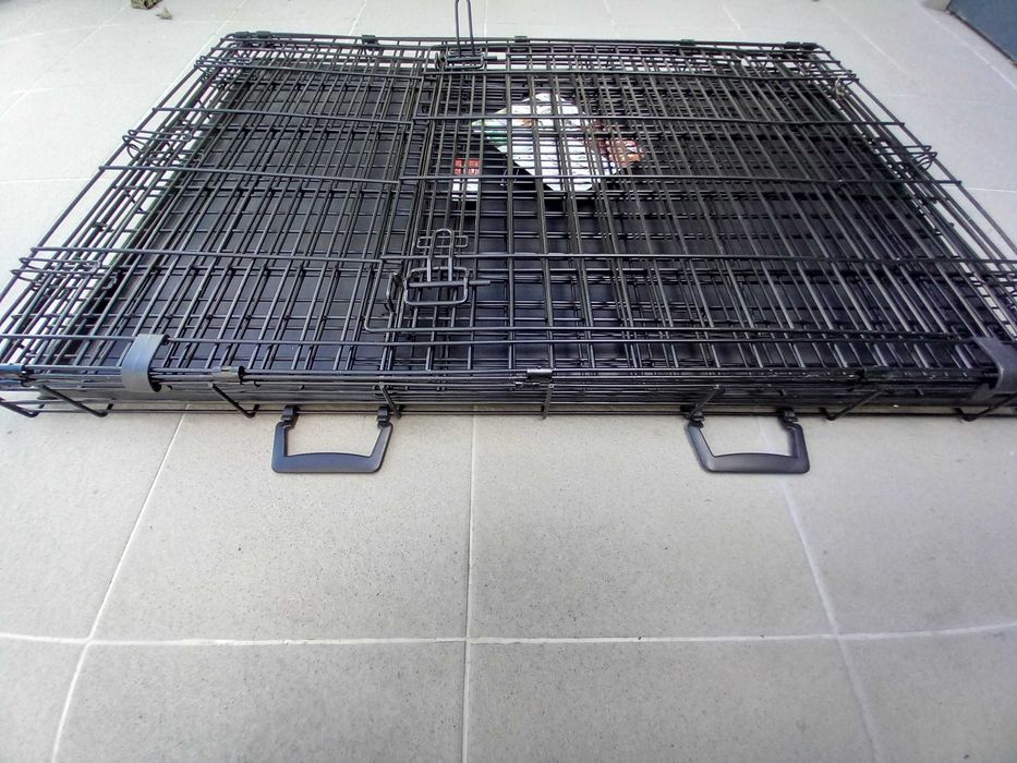 Caixa de transporte para cão