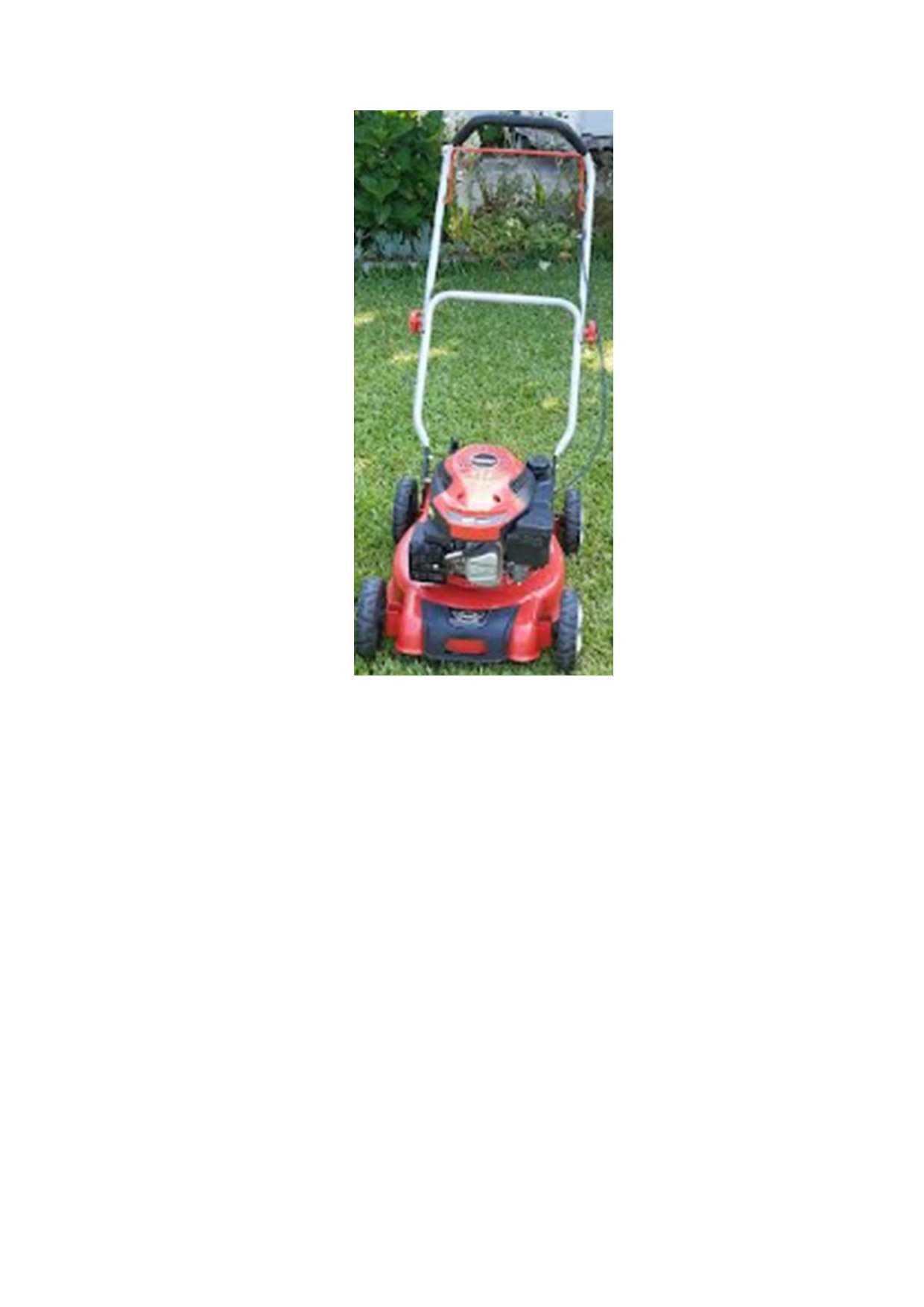 CORTA RELVAS HECHT 540 gasolina 127cc e 3,5HP - 150,00€