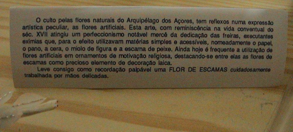 ALFINETE-Flor de escamas naturais -AÇORES - M.J.Melo.