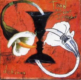 TOAD THE WET SPROCKET zestaw 2 cd folk indie