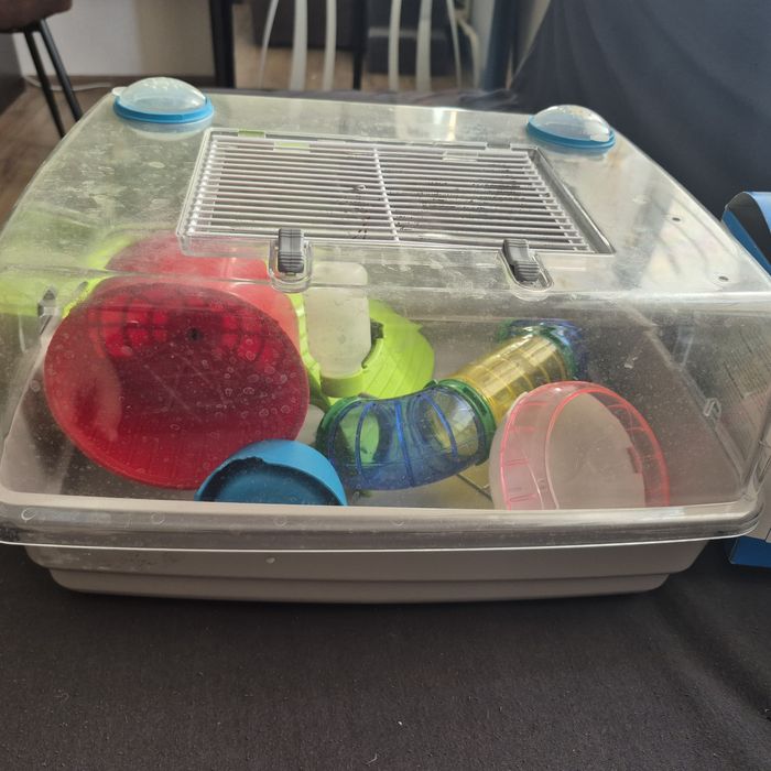 крута пропозиція! клітка для гризунів та все, що на фото