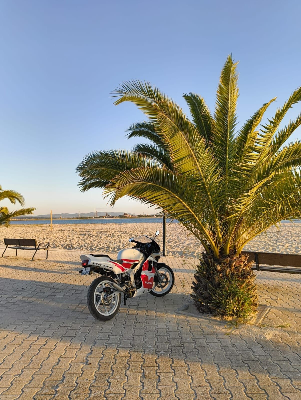 Honda  nsr 50 rr