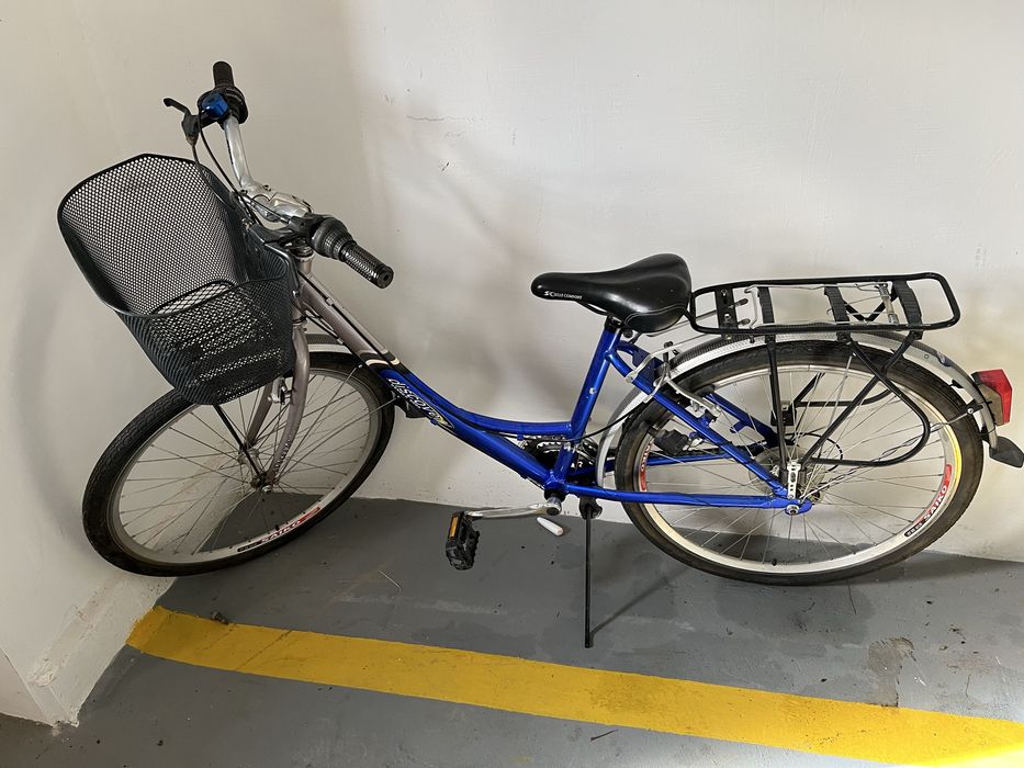 Rower damka z koszem