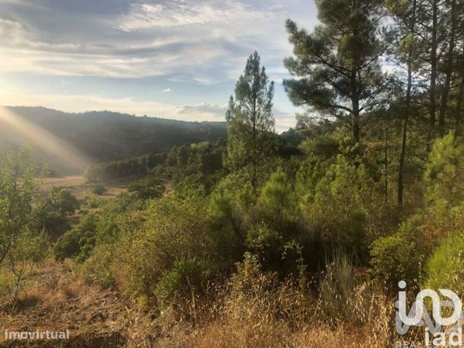 Terreno Agrícola em Vinhais de 7528,00 m2