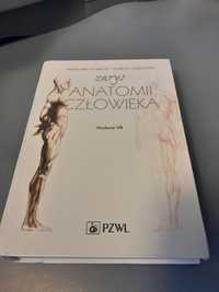 Zarys anatomia człowieka