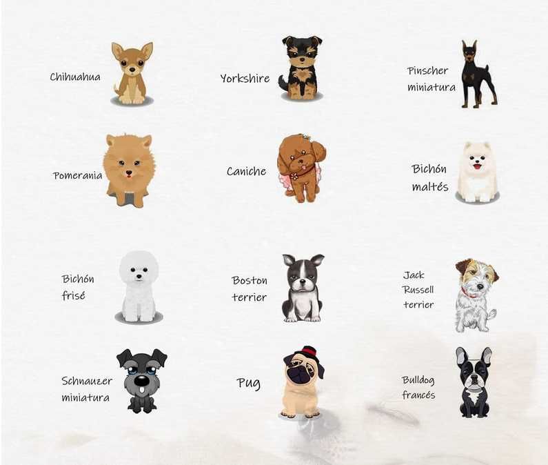 Sofá para cães, gatos e animais de estimação - NOVO ENVIO GRÁTIS