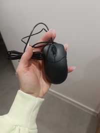 Nowa mysz do komputera