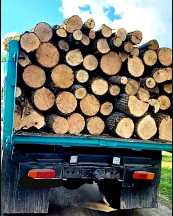 Дрова дубові, виробник, без посередників без передплат. 3-5-12 ск. м