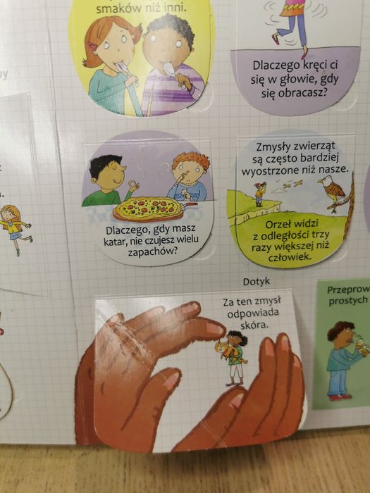 Ciało Bez Tajemnic ponad 100 okienek