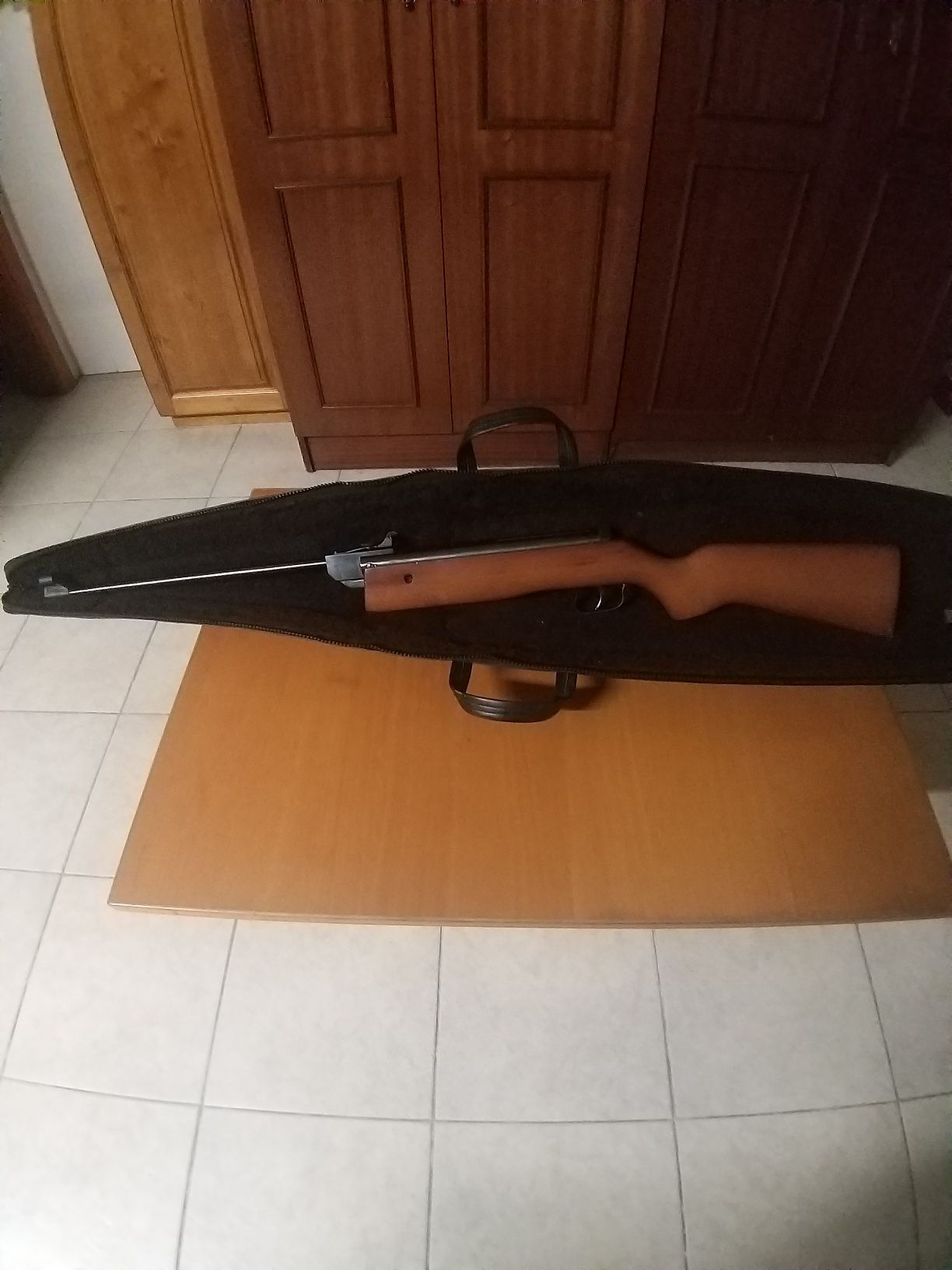 Flober norica 61