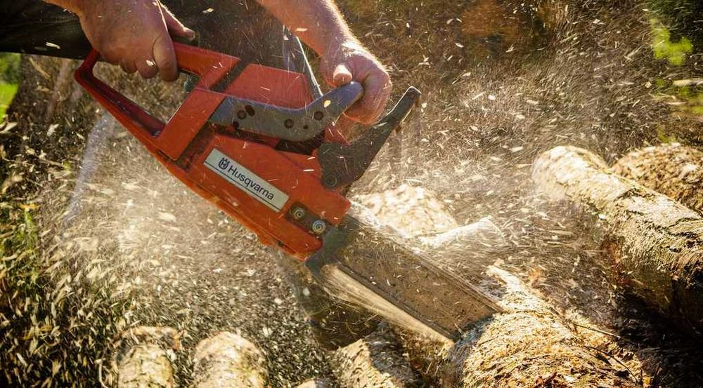 Wycinka drzew - Pasłęk, Braniewo, Malbork