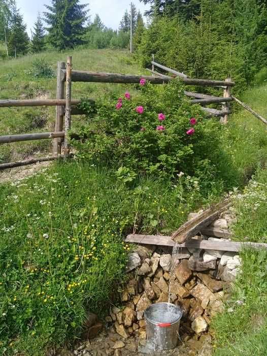 ПРОДАМ  земельну  ділянку