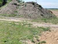 Czarna ziemia. Sprzedam