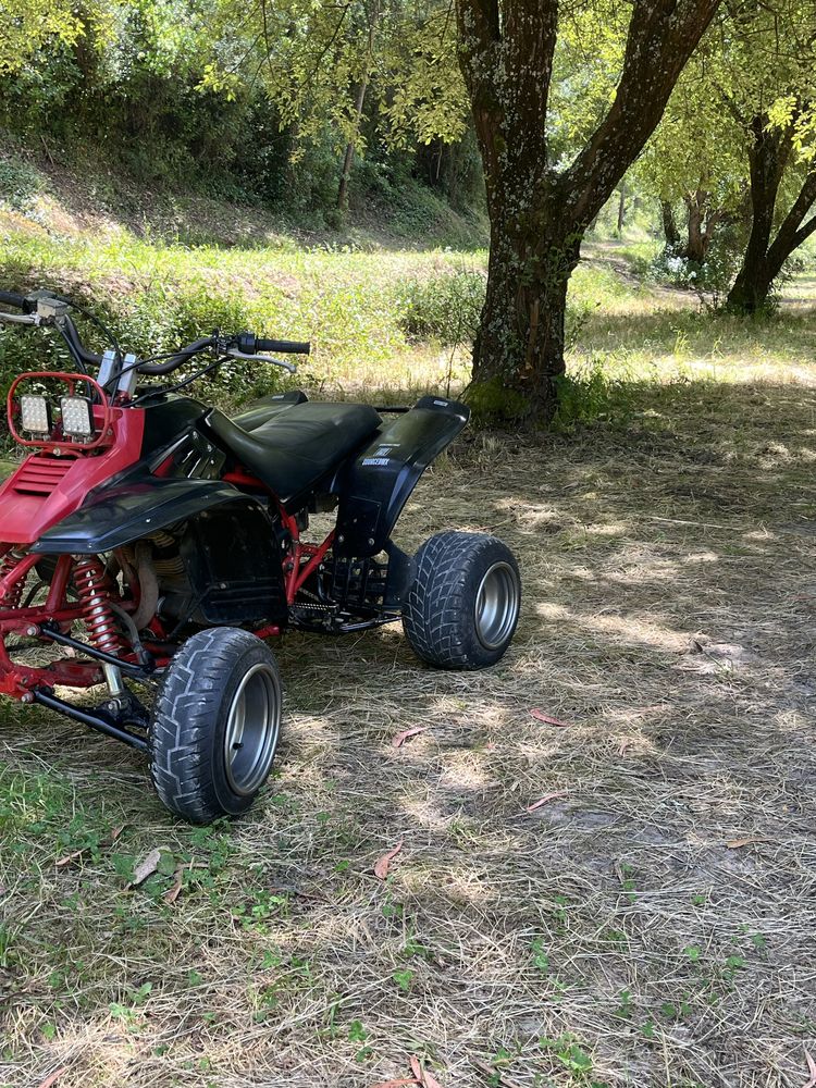 Yamaha warrior 350